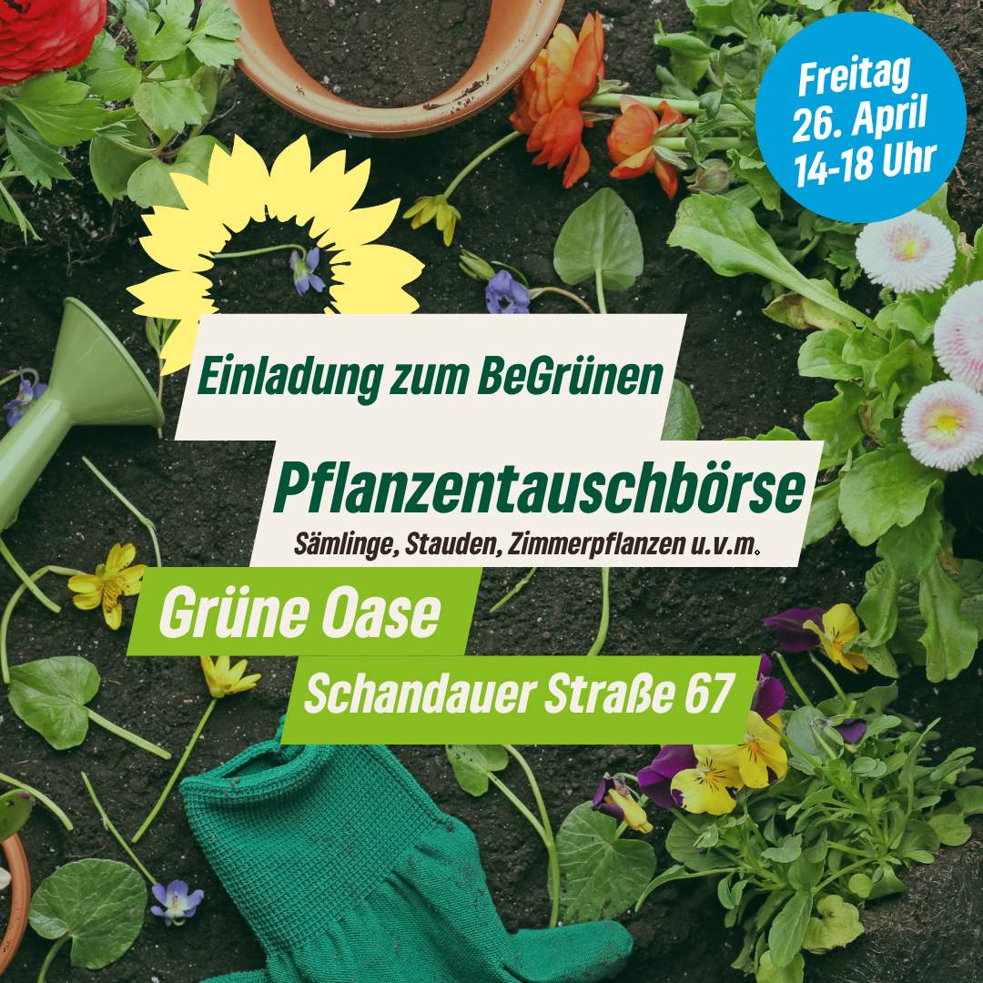Pflanzen, Erde, Handschuh, Gießkanne
