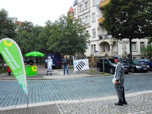Grüne Zebrastreifen-Aktion am Stresemannplatz zur Europäischen Mobilitätswoche 2021 - an der Straße stehen zwei mit Zebrakostümen verkleidete Menschen und ein grüner Infostand sowie eine Beachflag