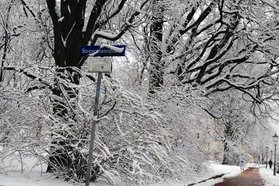 Kalender Stresemannplatz Dresden 2022 Blatt Januar - schneebedeckte Bäume und Sträucher