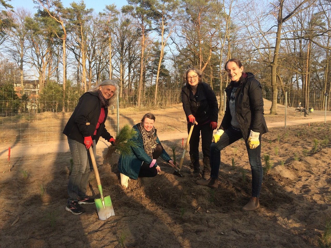 Stadtbezirksbeirätinnen Carola Küfner, Dr. Caroline Förster sowie Hannah Schöller mit OB-Kandidatin Eva Jähnigen bei Baumpflanzungen im Waldpark Blasewitz beim Einbringen eines kleinen Kiefernsetzlings