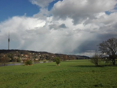 Foto von Tolkewitzer Elbwiese mit Elbhang und Fernsehturm im Hintergrundntergrund