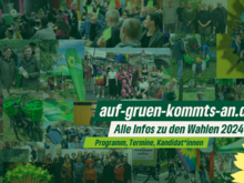 Banner als Link zur Wahlkampf-Webseite www.auf-gruen-kommts-an.de
