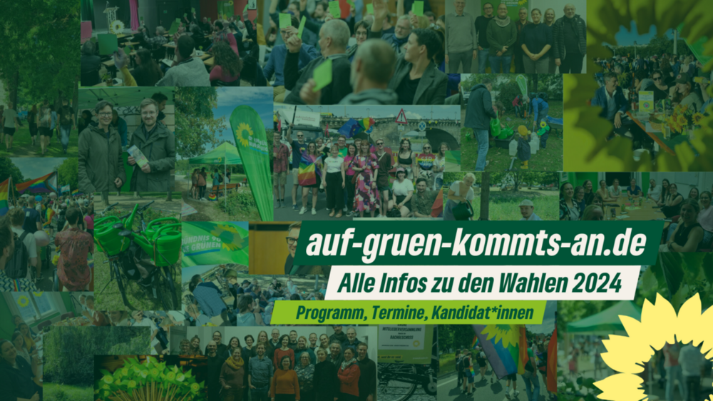 Banner als Link zur Wahlkampf-Webseite www.auf-gruen-kommts-an.de